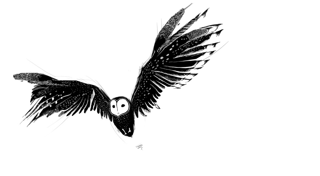 The "Black/White" Lauren Indovina