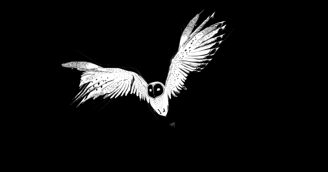 The "Black/White" Lauren Indovina