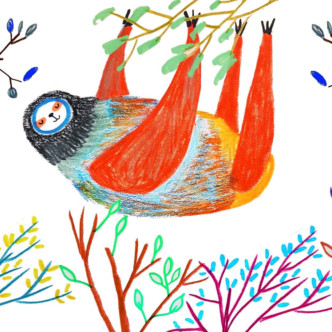 animal illustrations - Ashley Percival Illustration