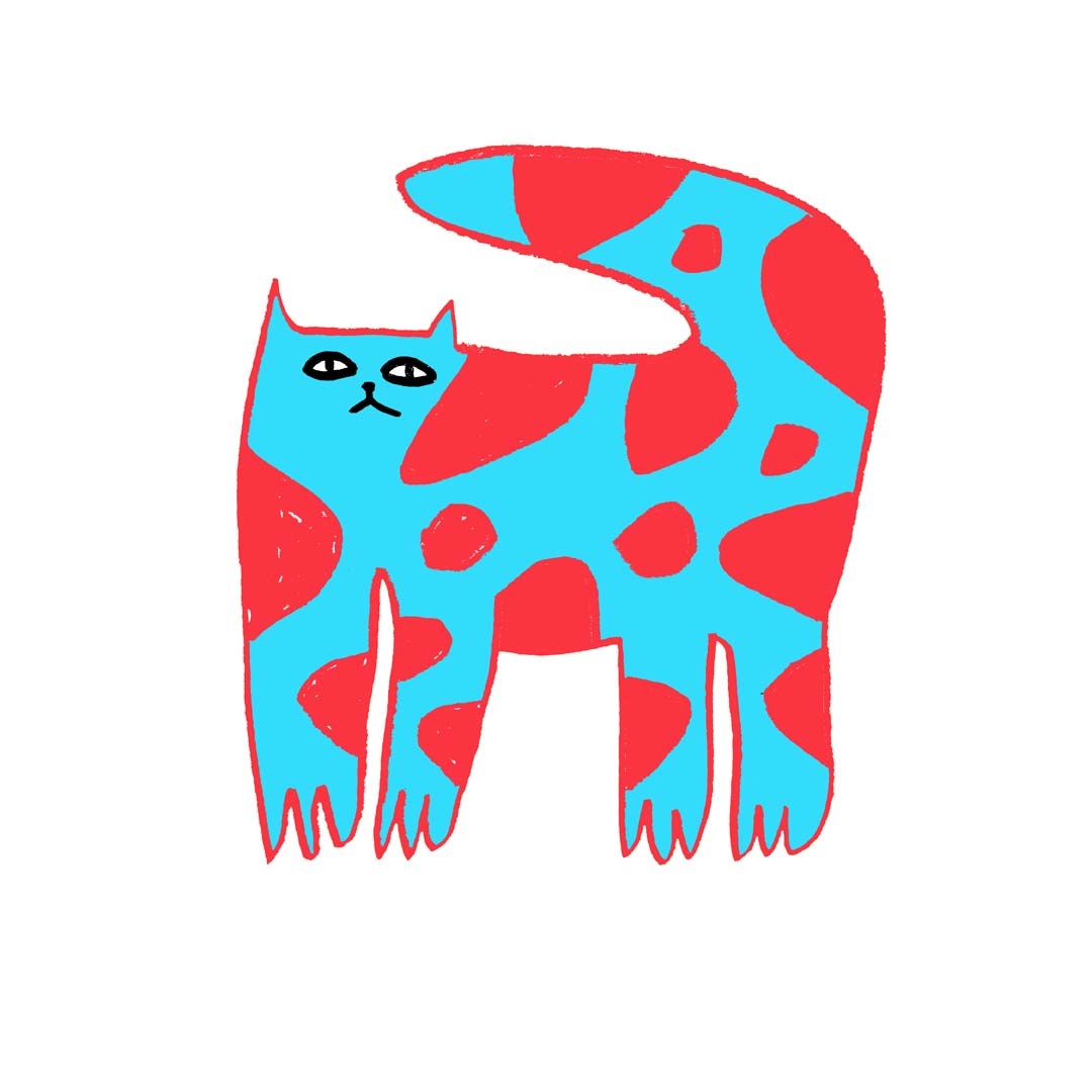 Cat Illustrations Ashley Percival Illustration