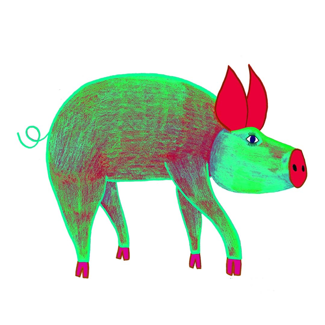 Pig Illustrations And Art Ashley Percival Illustration