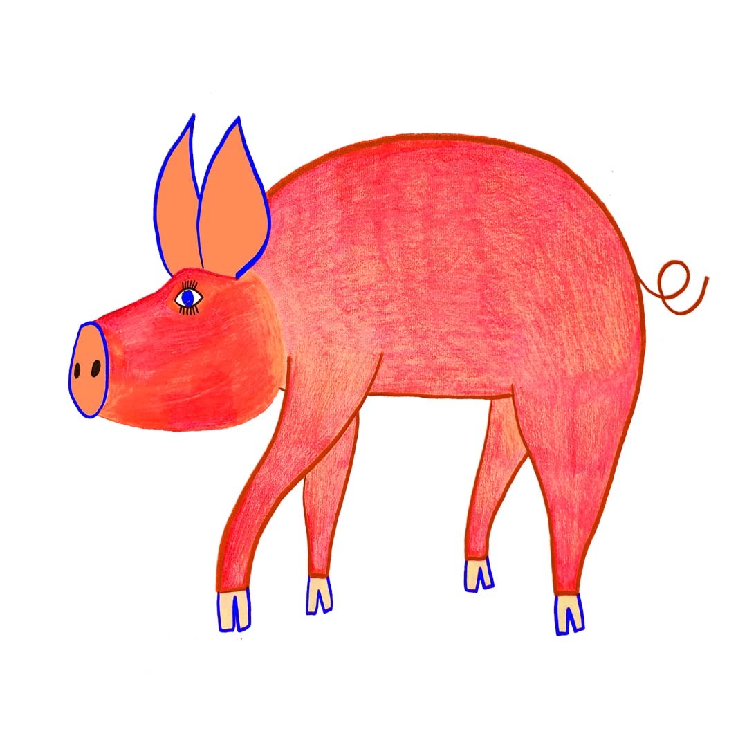 Pig Illustrations And Art Ashley Percival Illustration