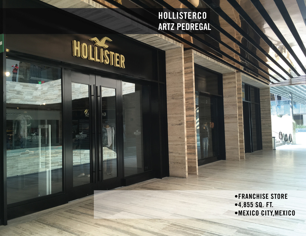 hollister artz CEGICAP - Main Image