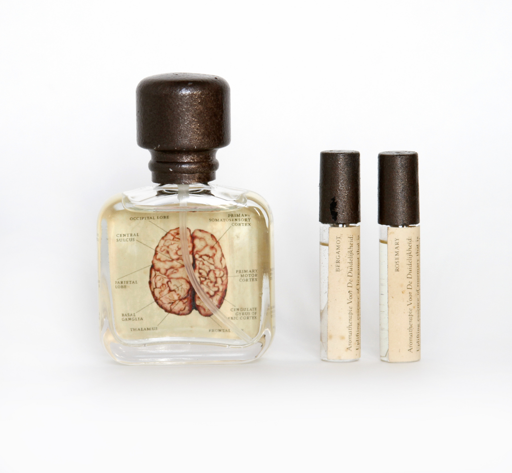 Van Der Lichaam Aromatherapy science_of_design