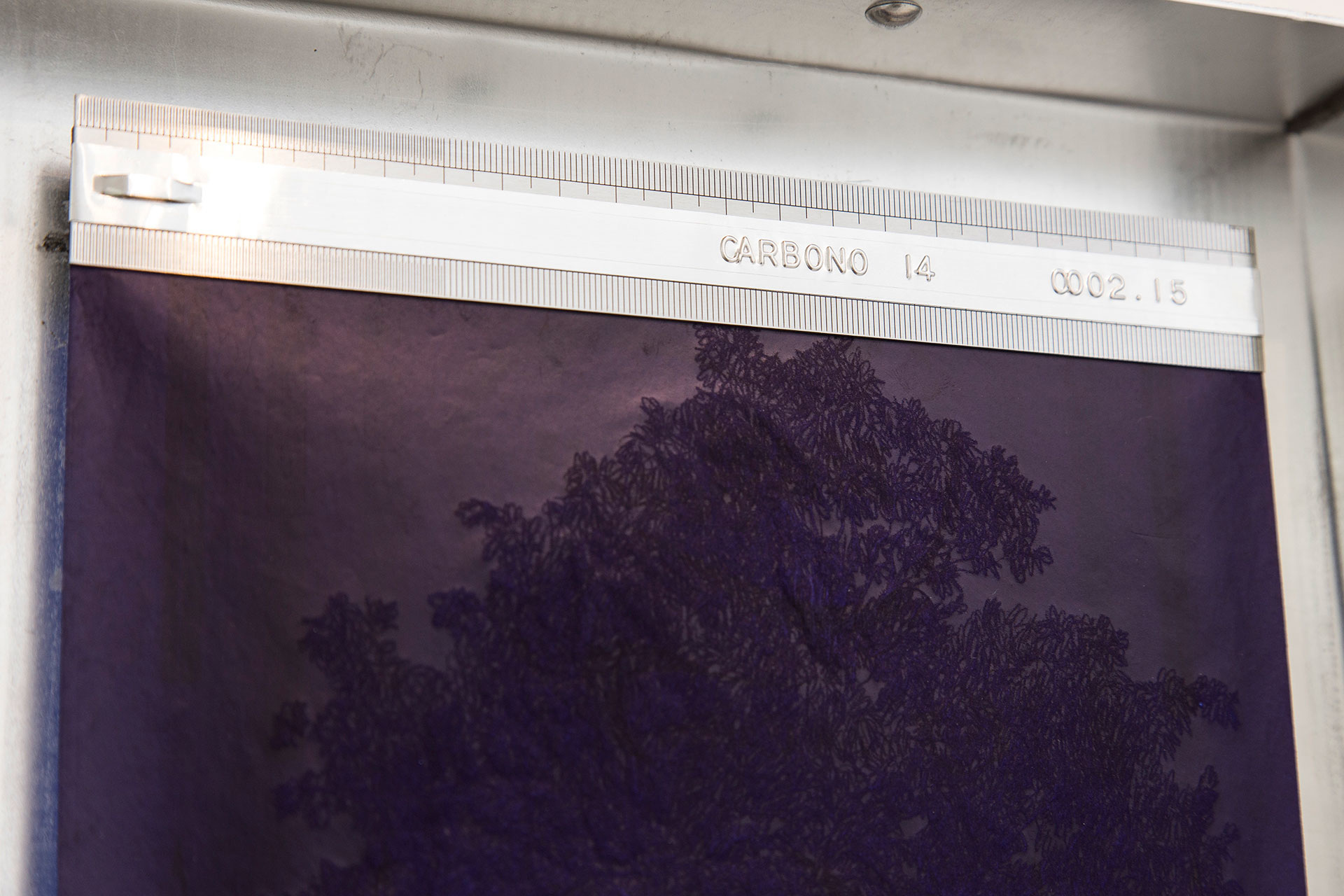 friends and dating sites