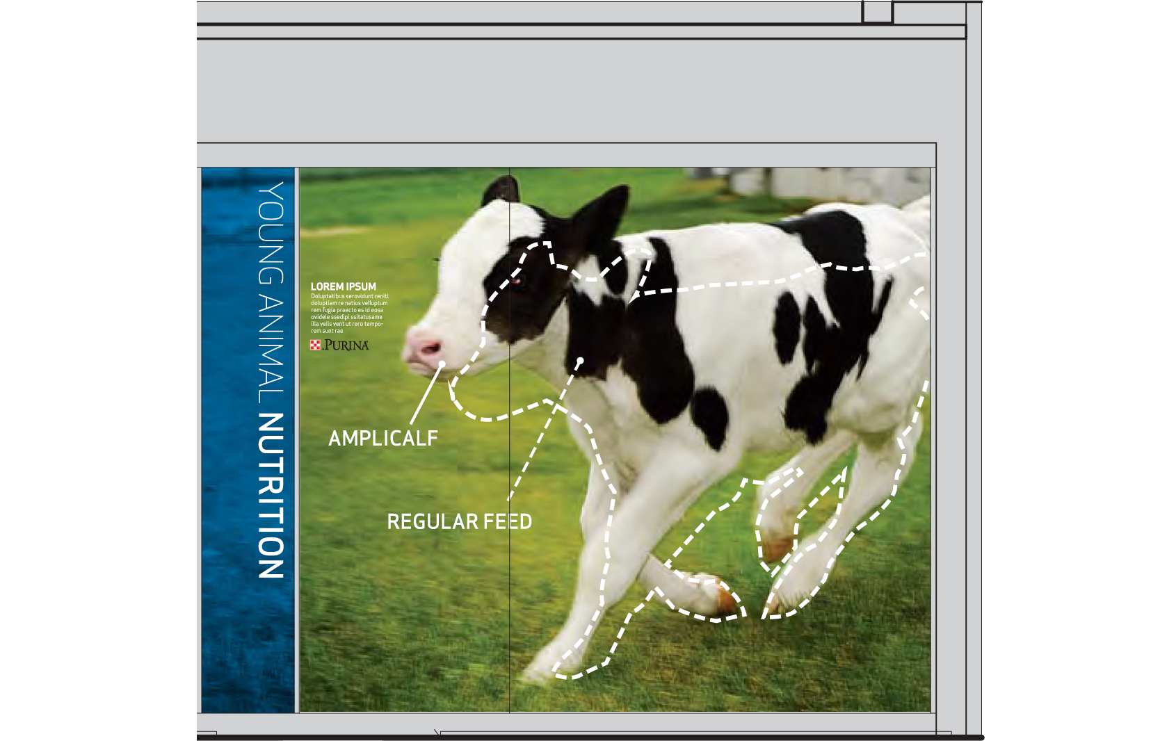 Land O' Lakes Headquarters Liz Novoa