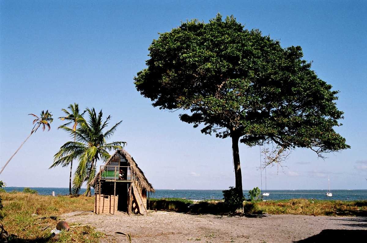 TFG - a ilha de Tatuoca_uma investigação de arquitetura popular sobre a ...