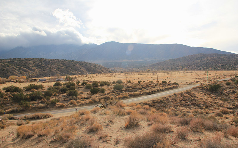 The Great Wave A Visit to the San Andreas Fault Venue