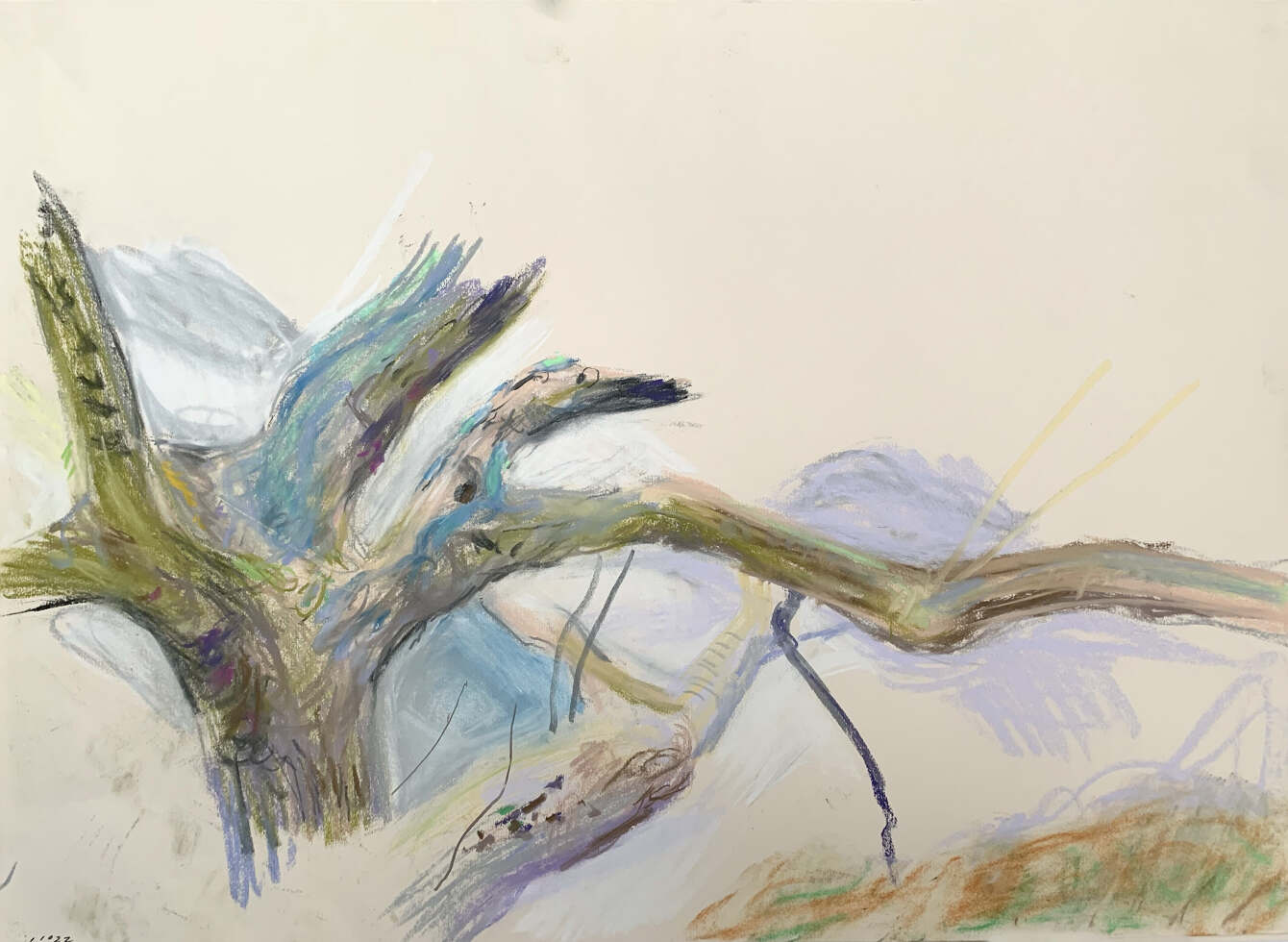 2023 TOM SCOTCHER tom-scotcher-painting-beautiful-places