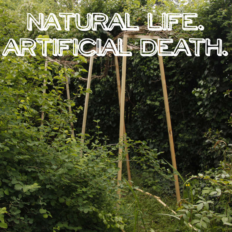 Natural Life. Artificial Death. Anastasia Kuzina