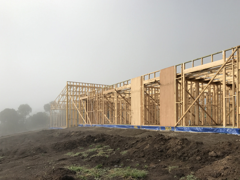 Camperdown House Moloney Architects