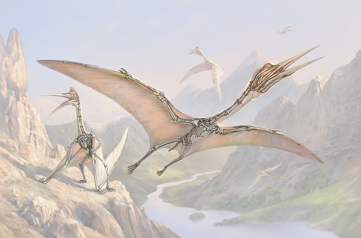 Quetzalcoatlus The Art Of Eldar Zakirov