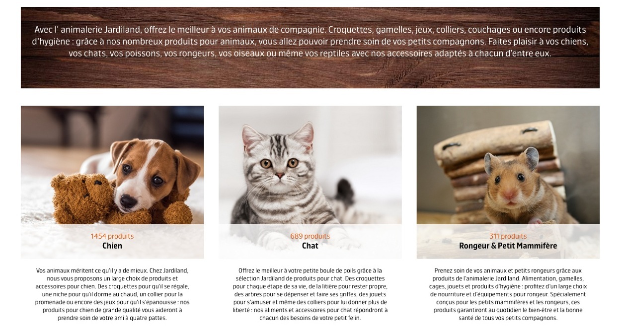 Redaction Print Web Alexis Maniere Concepteur Redacteur Redaction Print Web Alexis Maniere Concepteur Redacteur