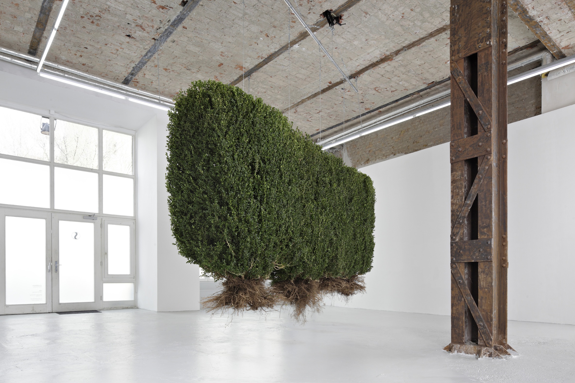 GROUND TO SKY - AWST & WALTHER