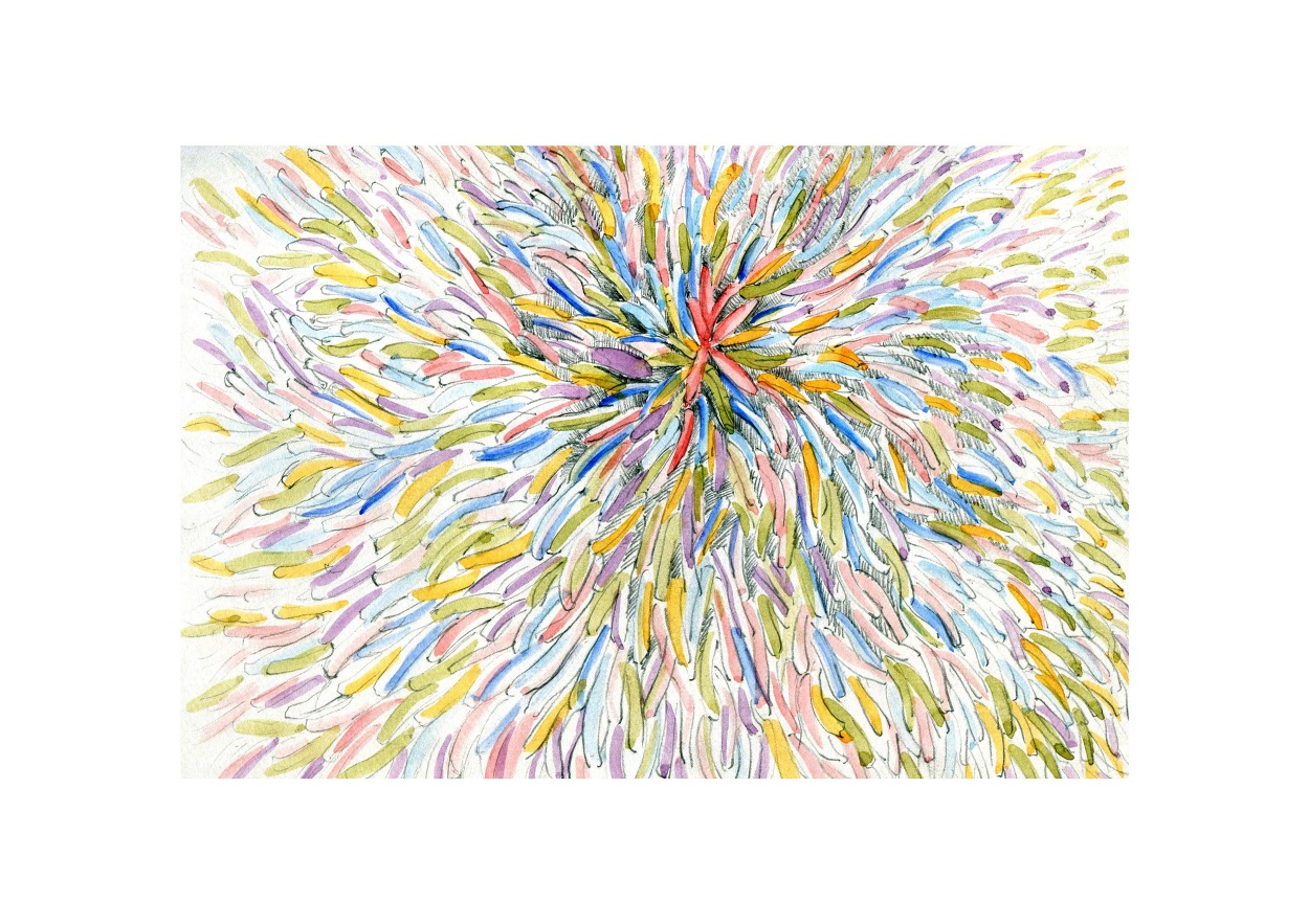 Sketches // Photography // Paintings alice kim