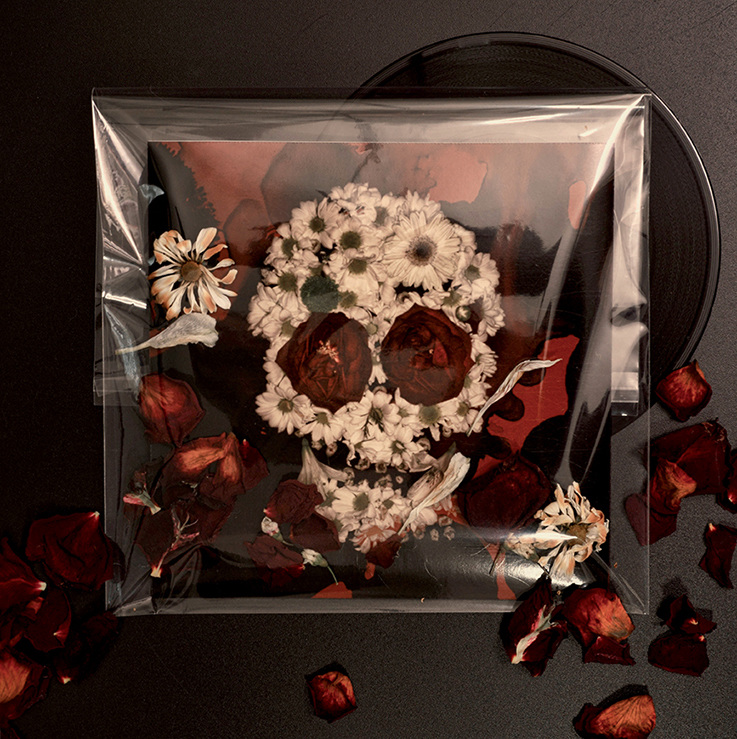 The Rolling Stones dead flowers (secret 7) andy vella design