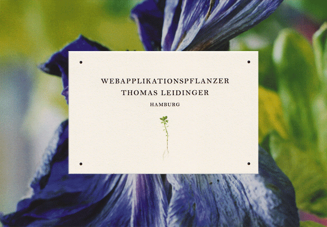 Carte Blanche Design Studio