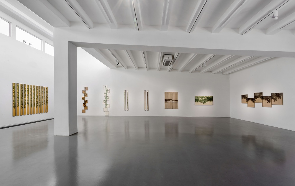 Bamboo Groves in Mists and Rains｜叢竹煙雨｜丛竹烟雨 Koon Wai Bong