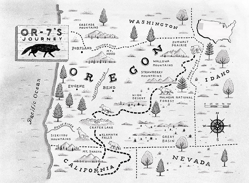Wander Map Reflection A Wolf Called Wander map - www.ryanorourke.com