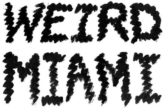 weird miami bus tour wutz up www basfisherinvitational com