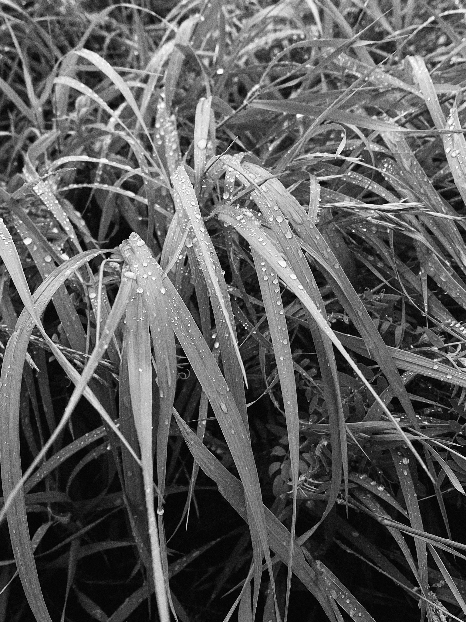 Très reposant BaieStPaul La Poirier