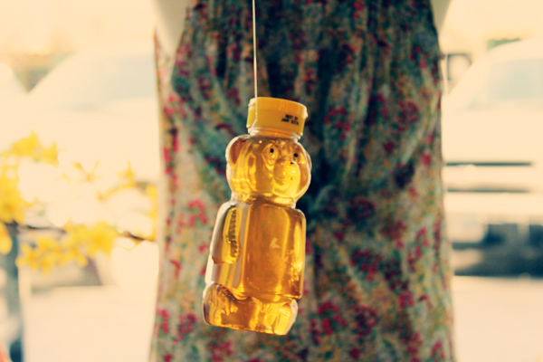 window + visual display - create art. inspire design.