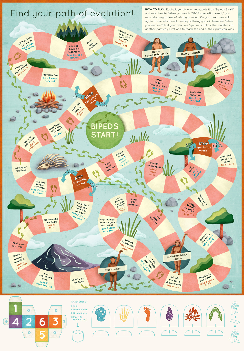 Human Evolution Board Game Caitlin Hansen