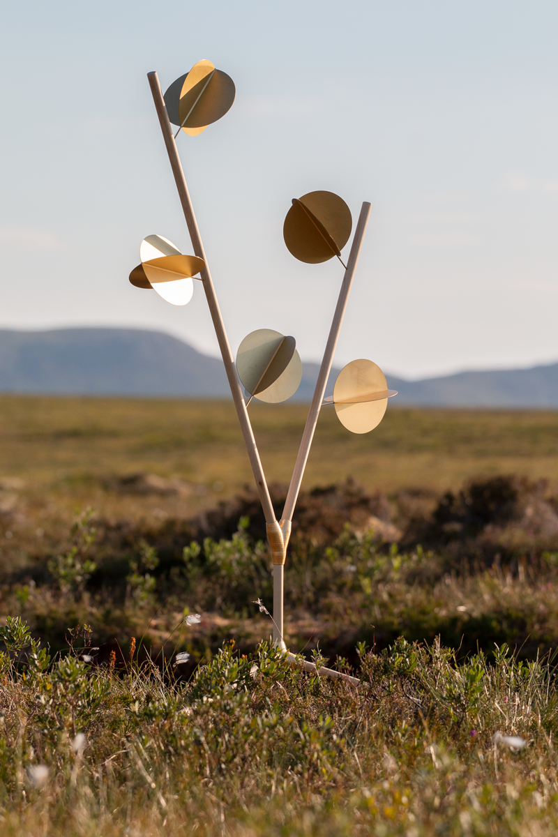 Birch & Hazel Anemometers - Hannah Imlach