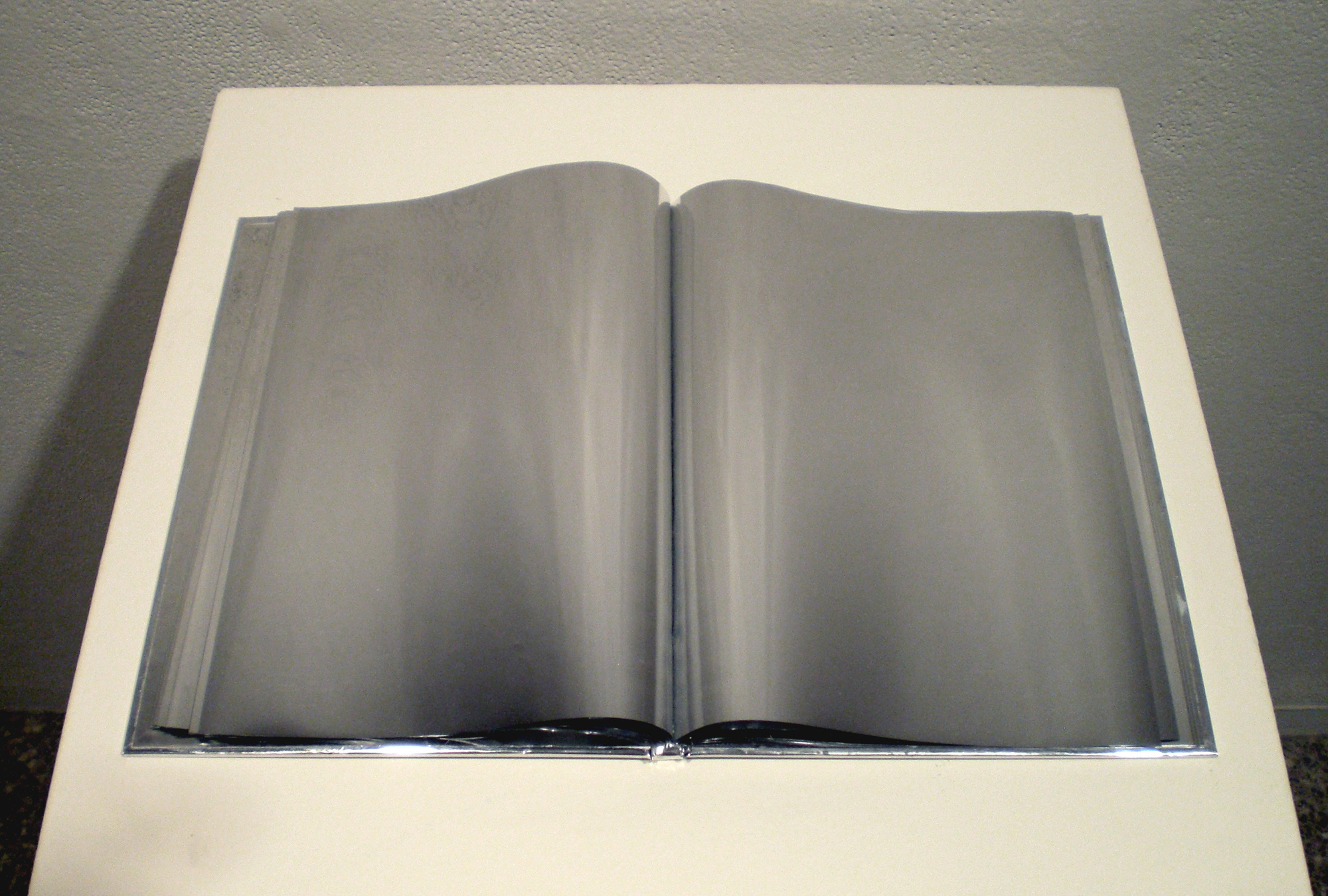 Mirror Book Caitlin Has A Cargo