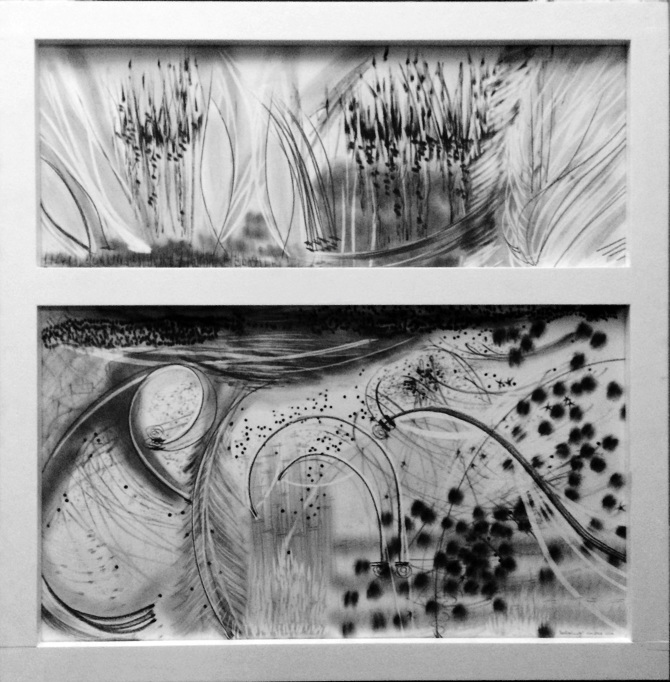 Large works on Paper Kim Dick