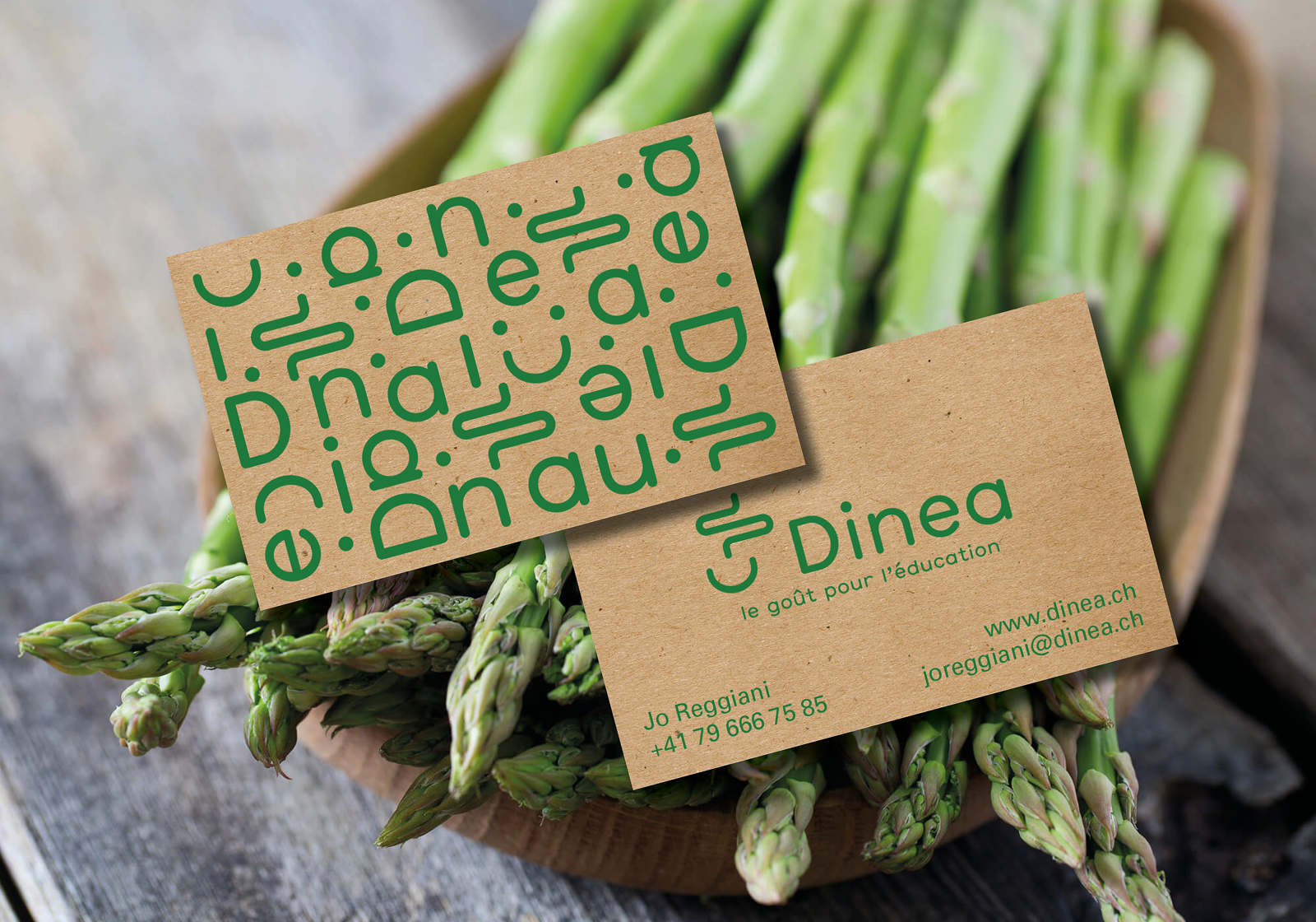 Dinea - Branding - lucas selhane