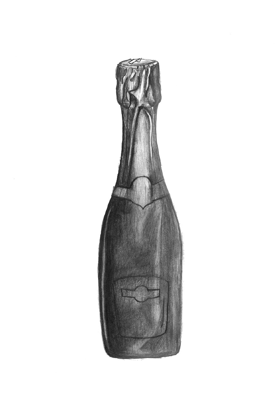 Bottle Translation Project Carolina Flores