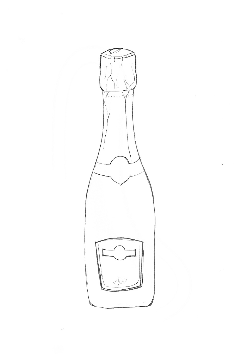 Bottle Translation Project Carolina Flores