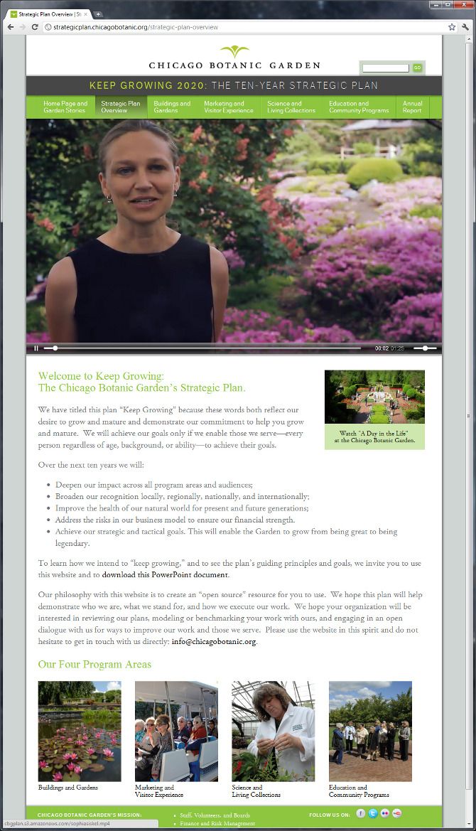 CBG: Strategic Plan Website - Mark Rattin: Work Samples