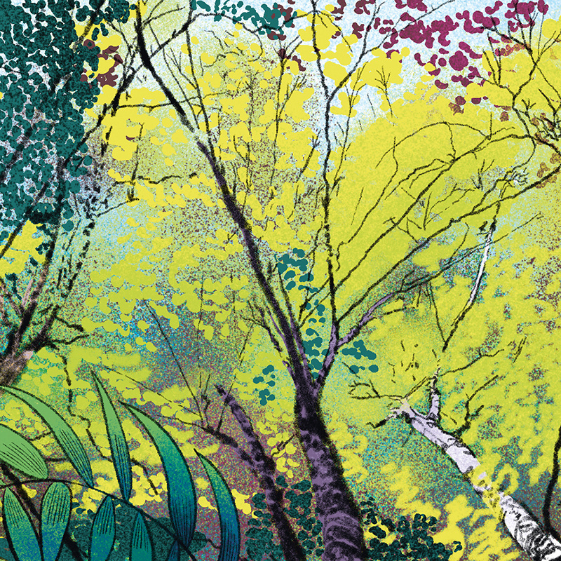 L'épopée de la forêt en cent épisodes Nikol portfolio L'épopée de la forêt en cent épisodes Nikol portfolio