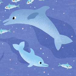 About - Ella Bailey Illustration