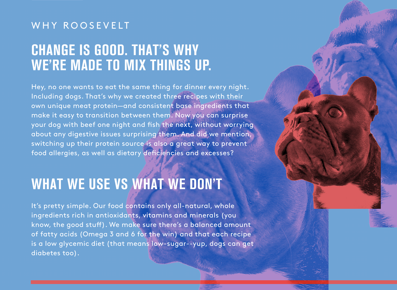 blue shield dog food