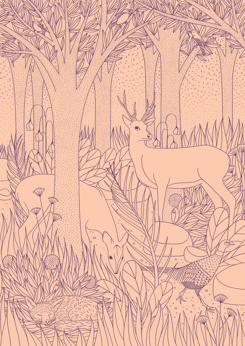 Forest Laurie Hastings Illustration