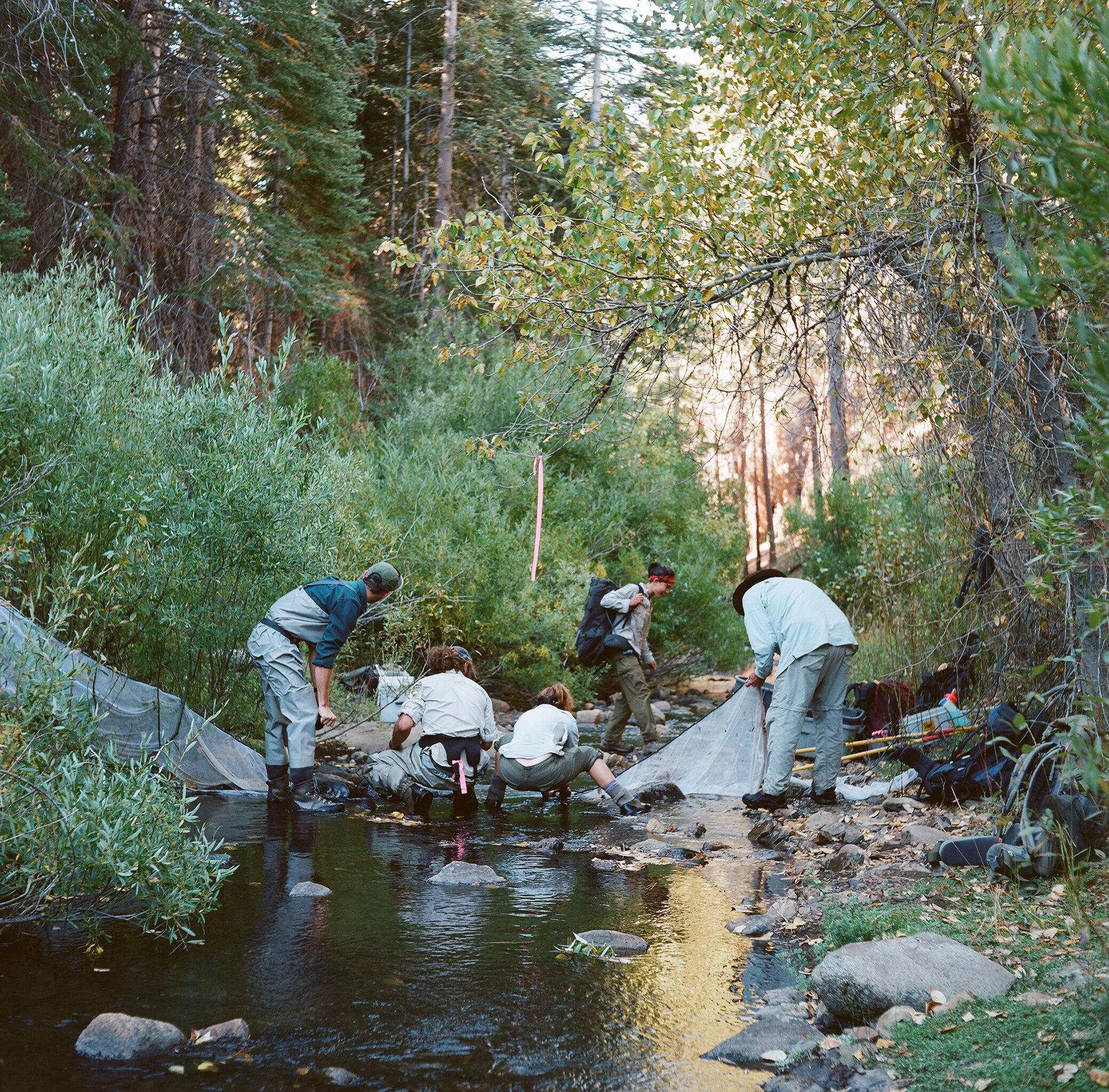 ANOTHER ESCAPE: GOLDEN TROUT WILDERNESS - Elias Carlson: photography