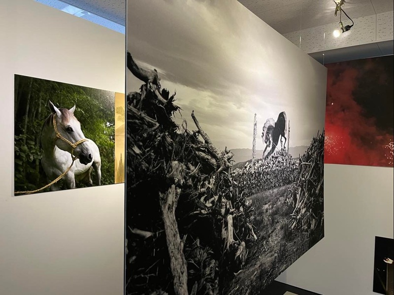 Exhibitions & Accolades - www.norikotakasugi.com
