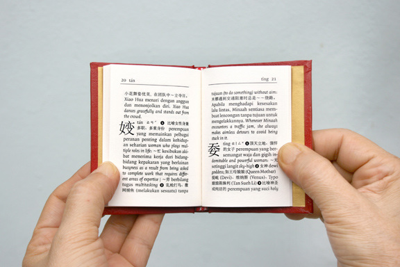 女人的字 Perkataan Perkataan Perempuan Women S Words 14 Tan Zi Hao