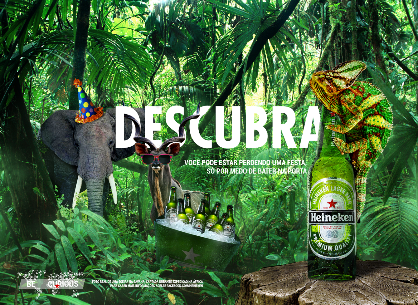 HEINEKEN - Mônica Torres, image size:1340x977