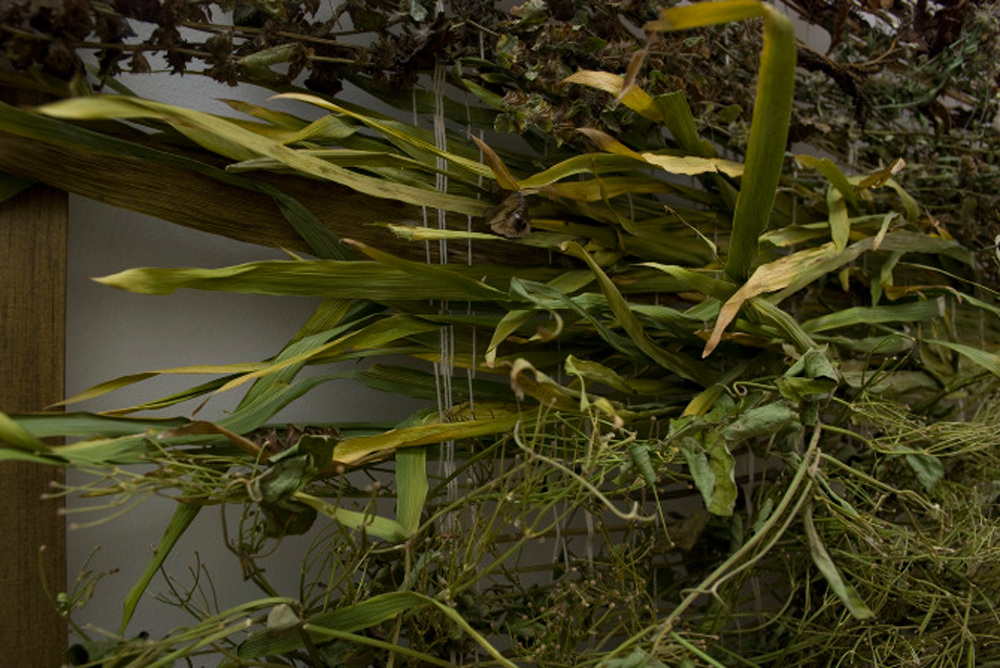Weaving the Grasses of America Julia Lines Wilson