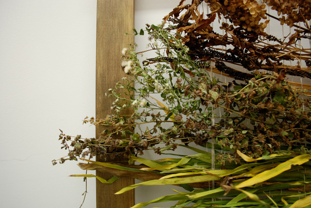 Weaving the Grasses of America Julia Lines Wilson