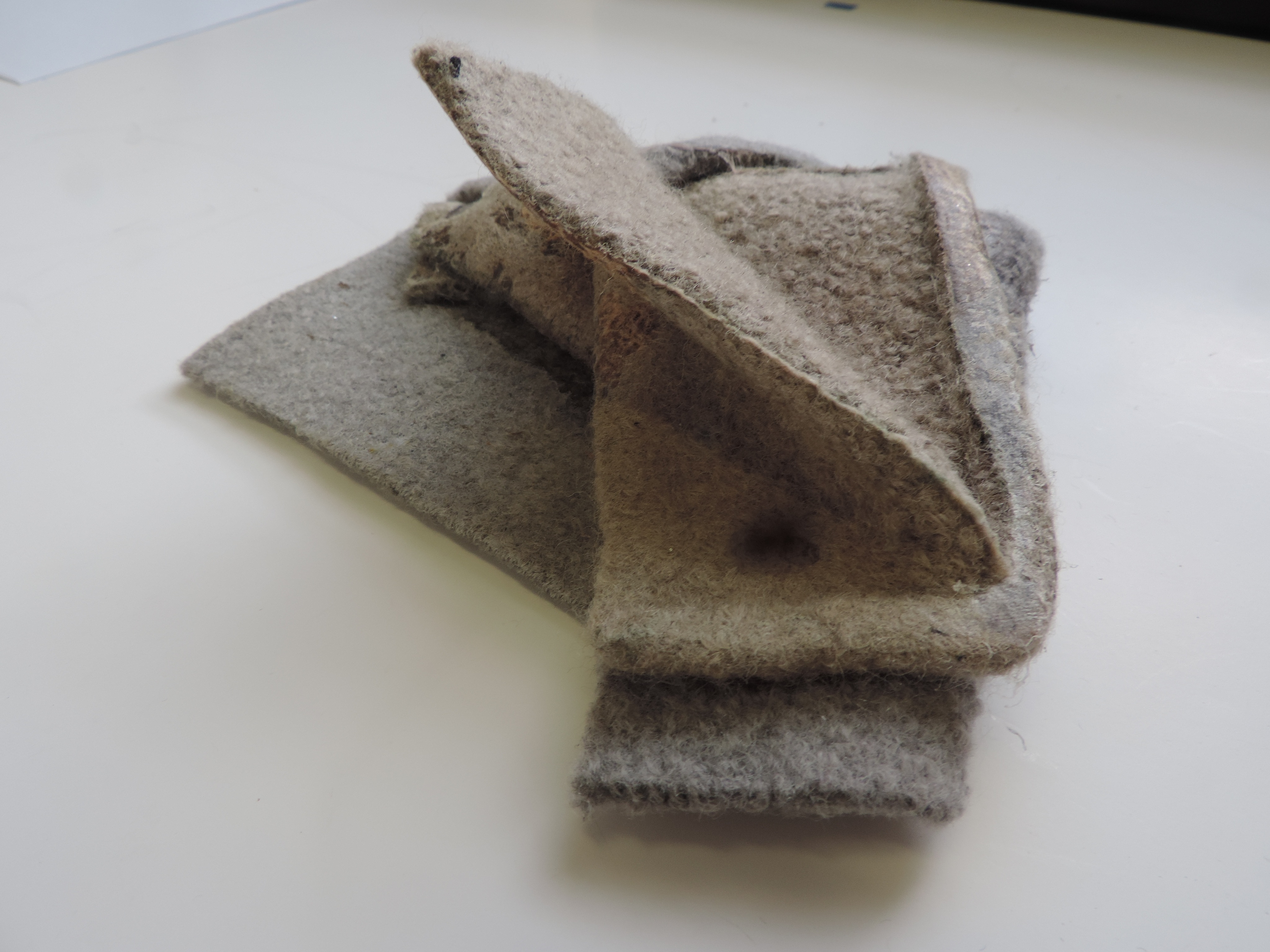 WOOL | Compositional Calm - catypalmer